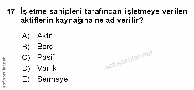 Soru 17