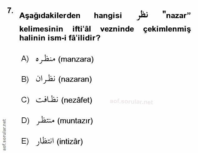 Soru 7