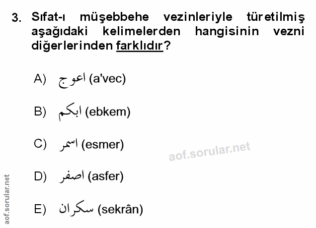 Soru 3