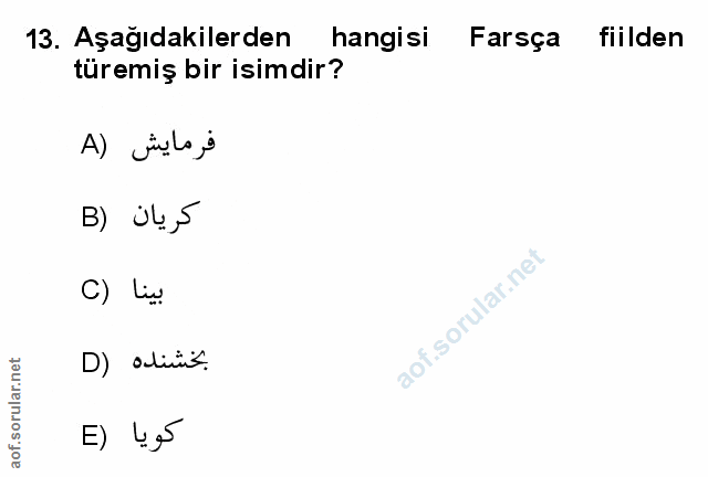Soru 13