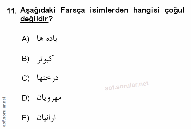 Soru 11