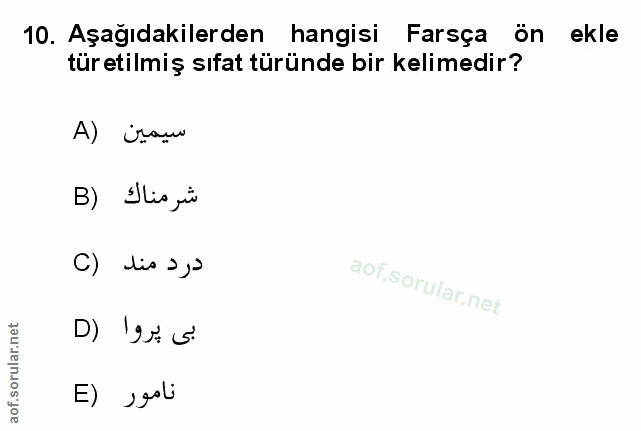 Soru 10
