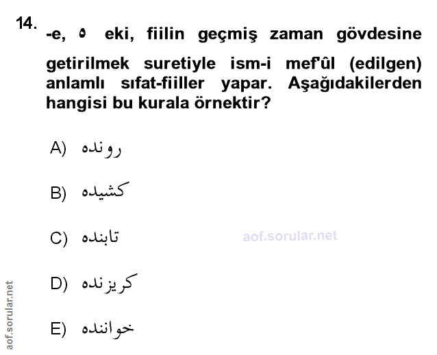 Soru 14