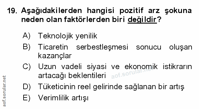 Soru 19