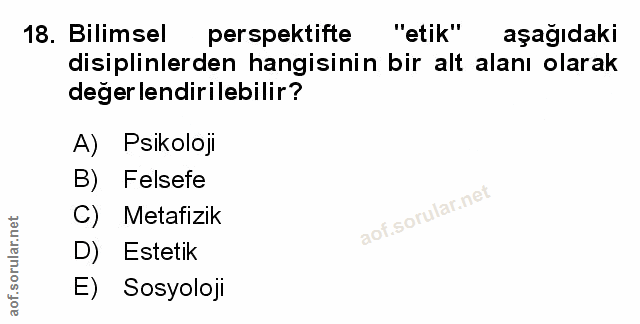 Soru 18