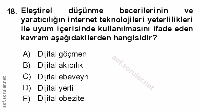 Soru 18