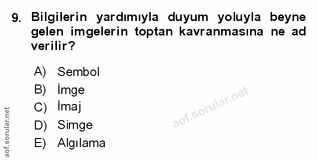Soru 9