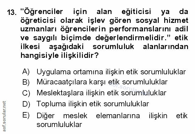 Soru 13