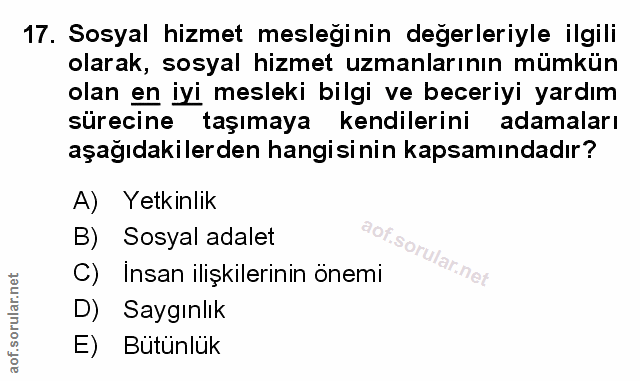 Soru 17