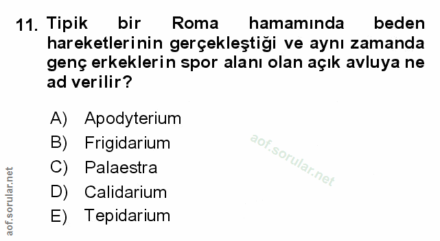 Soru 11