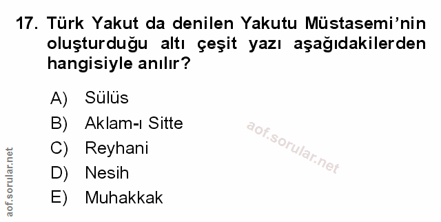 Soru 17
