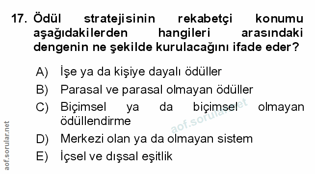 Soru 17