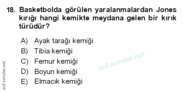 Soru 18