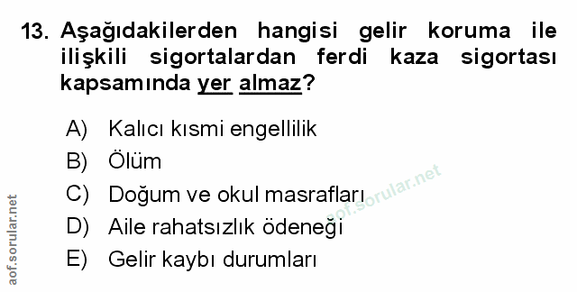 Soru 13