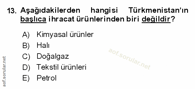 Soru 13