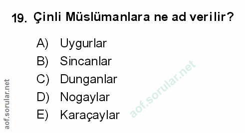 Soru 19