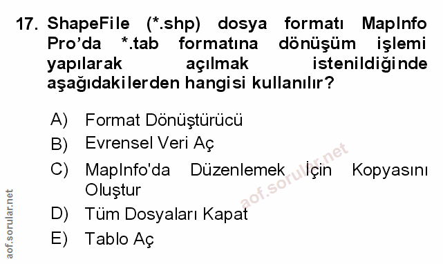 Soru 17