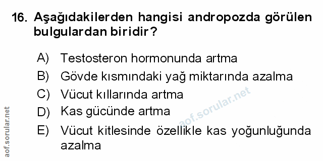 Soru 16