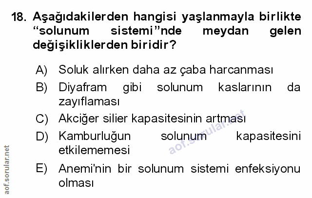Soru 18