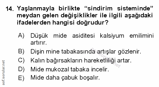 Soru 14