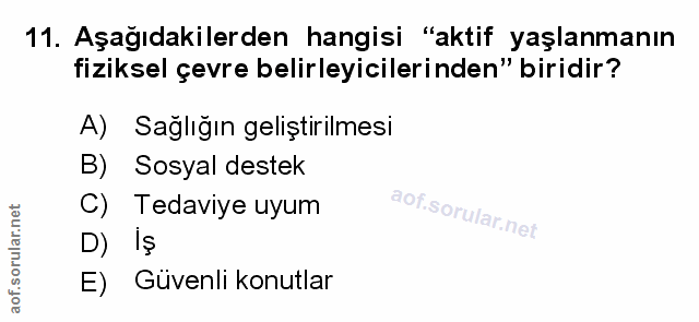Soru 11