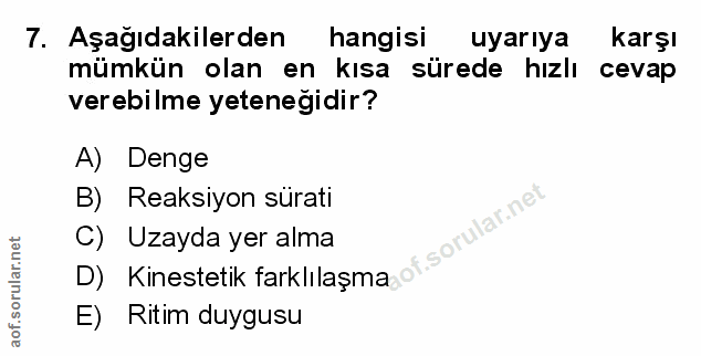 Soru 7