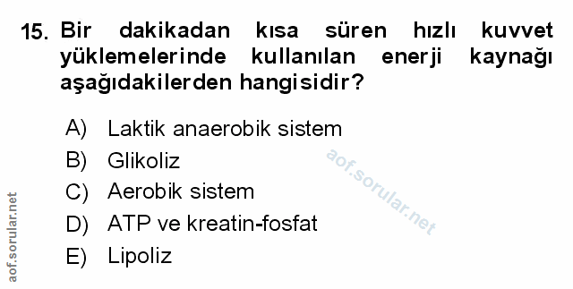 Soru 15