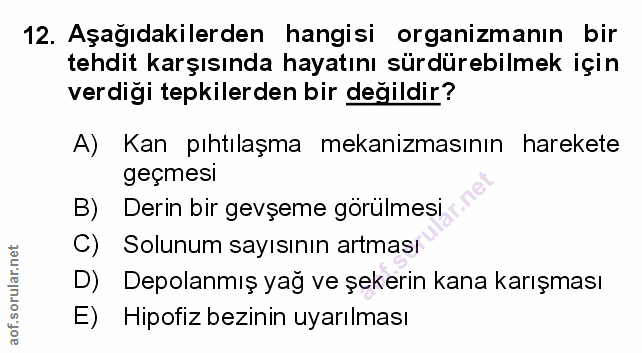 Soru 12