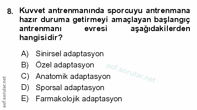 Soru 8