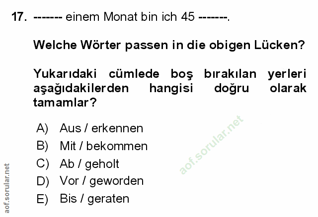 Soru 17