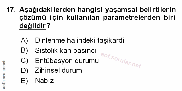 Soru 17