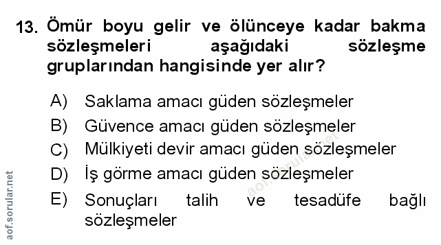 Soru 13