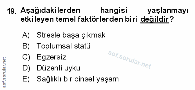 Soru 19
