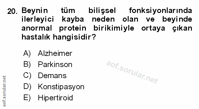 Soru 20