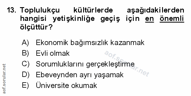 Soru 13