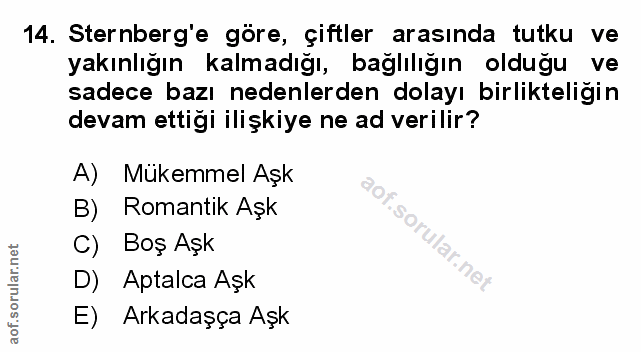 Soru 14