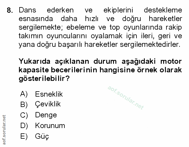 Soru 8