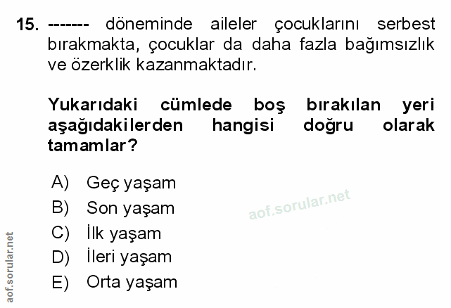 Soru 15