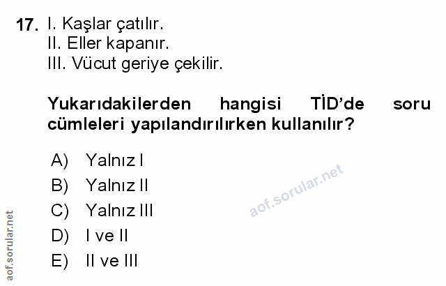 Soru 17
