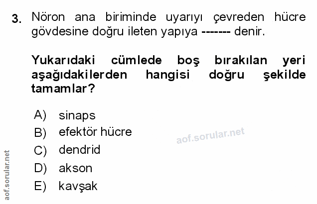 Soru 3