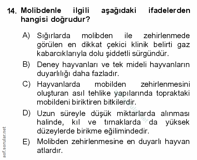 Soru 14