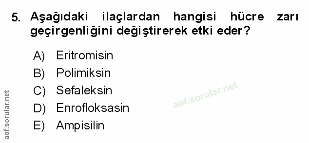 Soru 5
