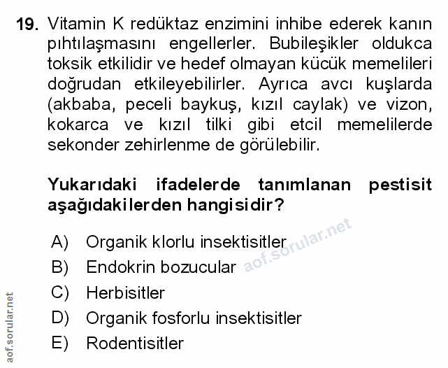 Soru 19
