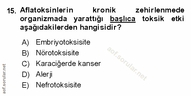 Soru 15