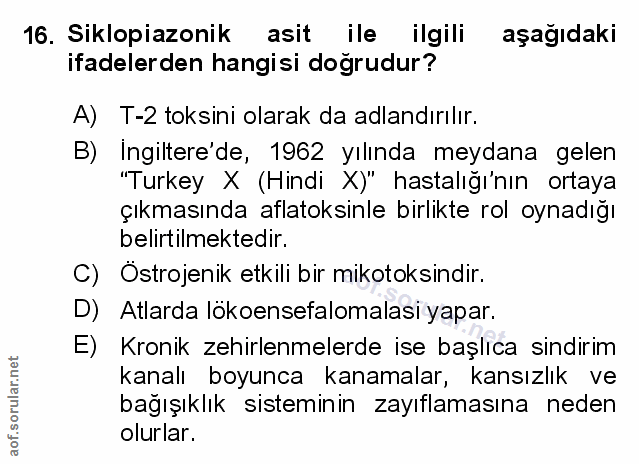Soru 16
