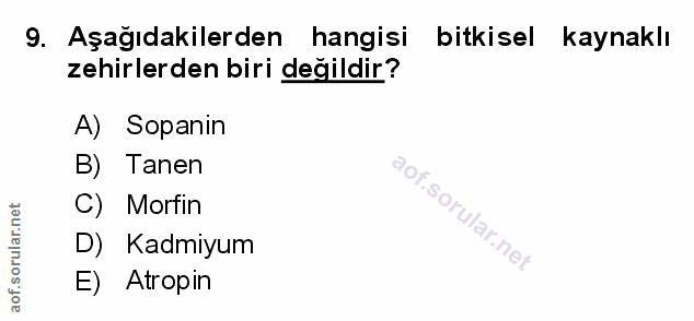 Soru 9