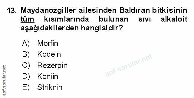 Soru 13
