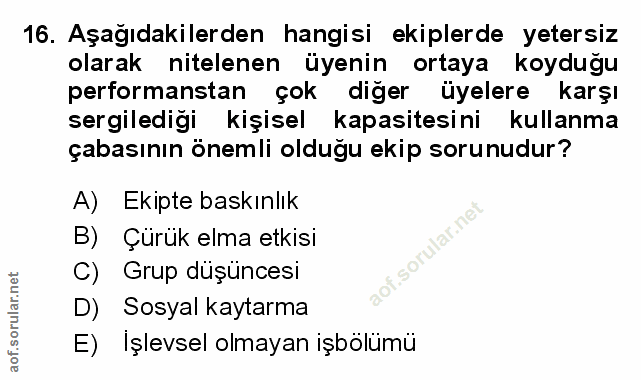 Soru 16
