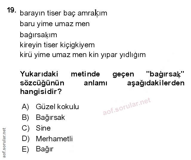 Soru 19