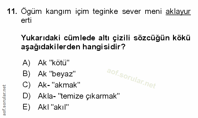 Soru 11
